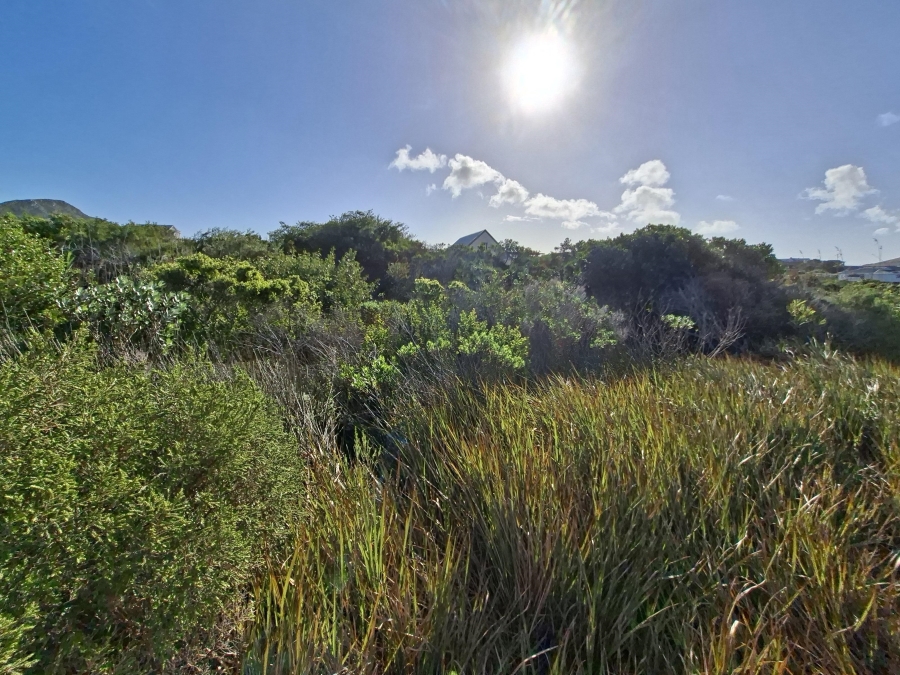0 Bedroom Property for Sale in Pringle Bay Western Cape